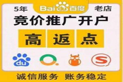 百度竞价广告的创意与执行：成功案例剖析